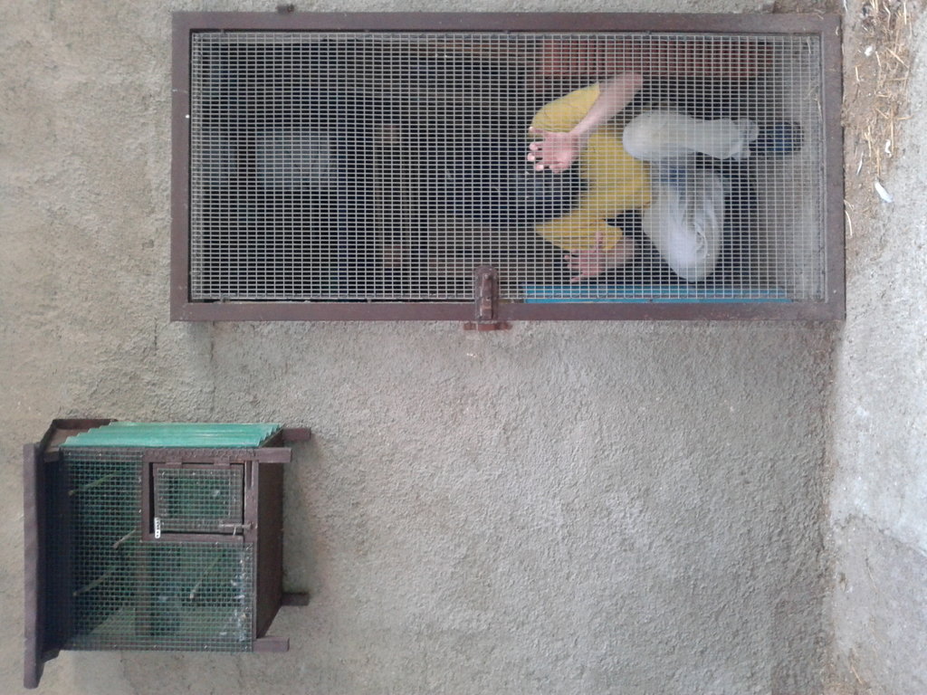 Foto 14